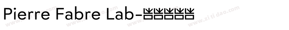 Pierre Fabre Lab字体转换